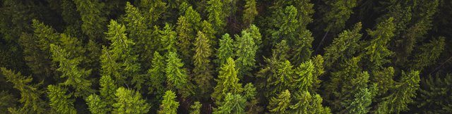 Corporate Social Responsibility